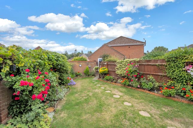 34, Tassel Road, Bury St. Edmunds photo 4