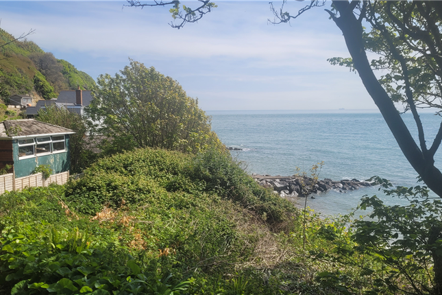 The Cliff Path Bonchurch, Ventnor photo 3