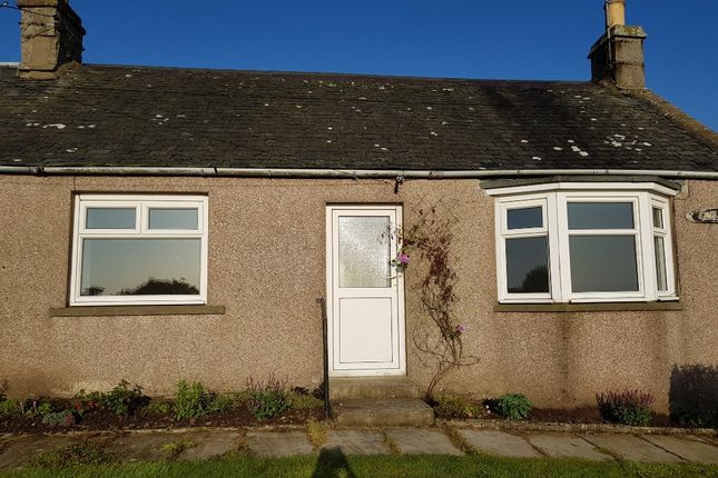 Thumbnail Cottage to rent in Kinneff, Montrose, Angus