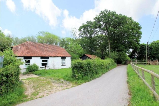 Thumbnail Bungalow for sale in Clay Hill, Beenham, Reading, Berkshire