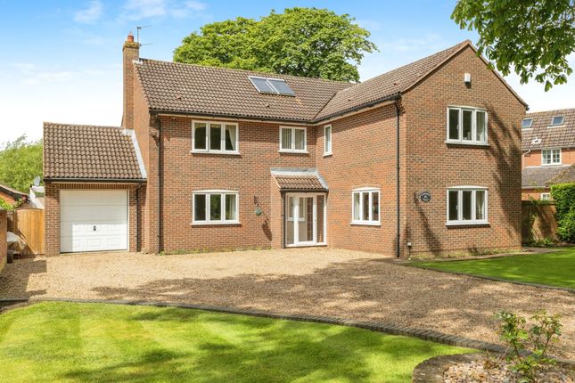 Thumbnail Detached house for sale in The Green, Old Buckenham, Attleborough