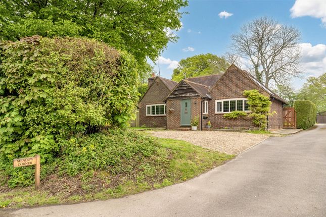 Thumbnail Bungalow for sale in Forest Green, Dorking, Surrey