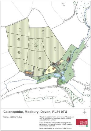 Estate Plan