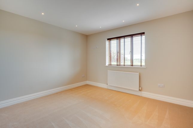 102 Woodbridge Road Brighter-14