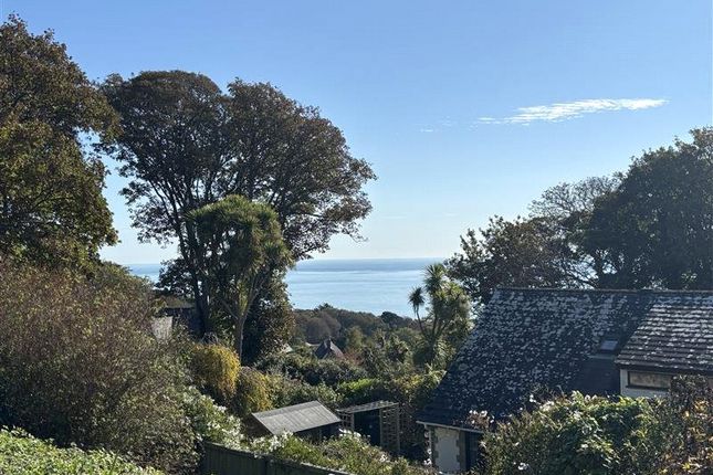 6, Twining Road, Ventnor photo 2