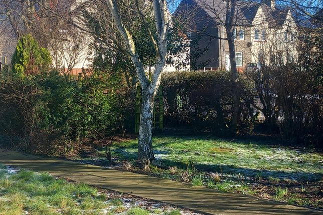 7, Summerfield, Earlston photo 4