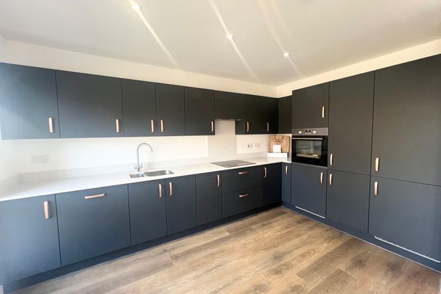 12, Lavender Drive, Newcastle upon Tyne photo 4