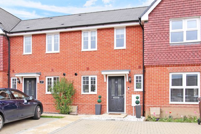 Thumbnail Terraced house to rent in Blackthorn Road, Andover
