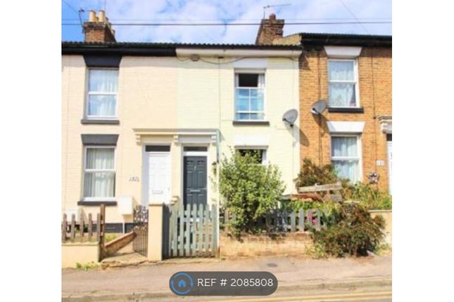 Thumbnail Terraced house to rent in Bower Street, Maidstone