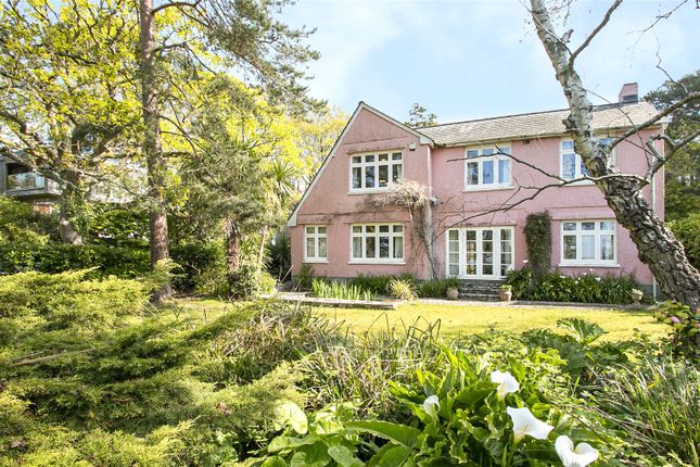 Thumbnail Detached house for sale in Flambard Road, Lower Parkstone, Poole, Dorset