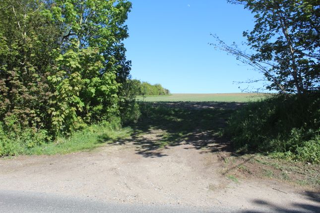 Bartlow Road, Hadstock photo 3