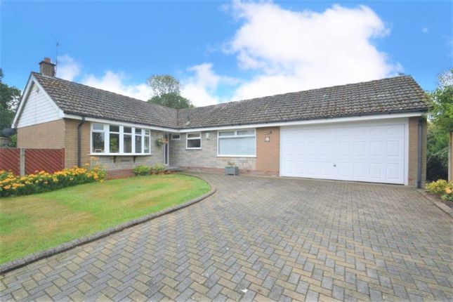 Thumbnail Detached bungalow for sale in Fox Grove, Knutsford