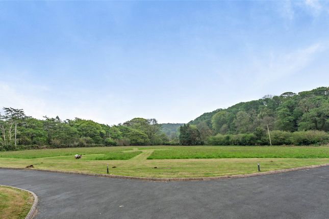 Meadow Field