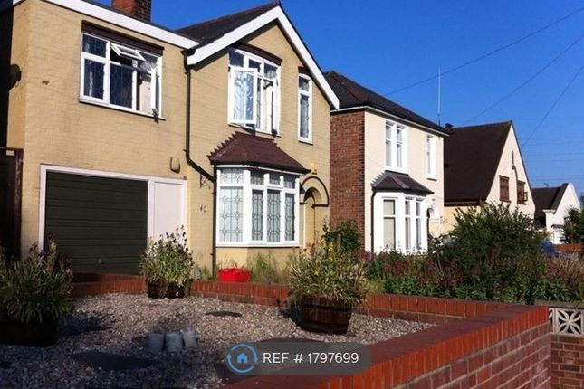 Thumbnail Detached house to rent in Elmstead Road, Colchester