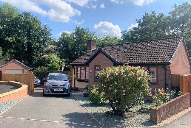 Detached bungalow for sale in Oaklea, Honiton
