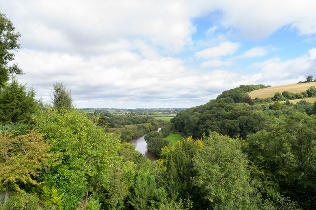 Rockbourne-37
