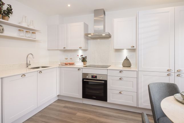 883, Winchester Avenue, Winchester, So22 6Uh photo 3