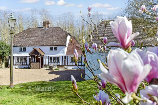 The Olde Thatch, Laddingford, Maidstone photo 4