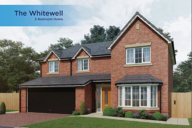 Thumbnail Detached house for sale in Woodland View, North View Fold, Wrea Green