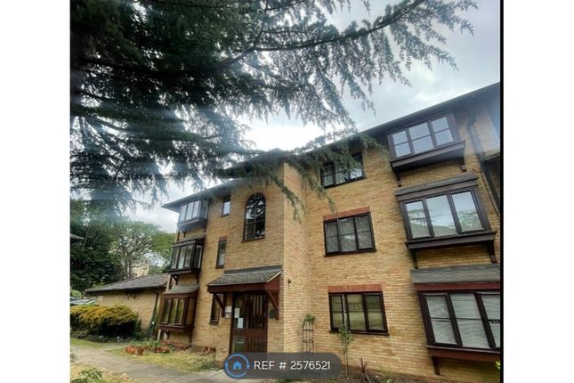 Hallingburycourt