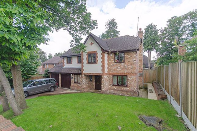 Thumbnail Detached house to rent in Cranmer Close, Weybridge