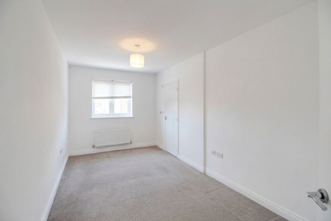 11 Hadleigh Street, Ashford photo 4