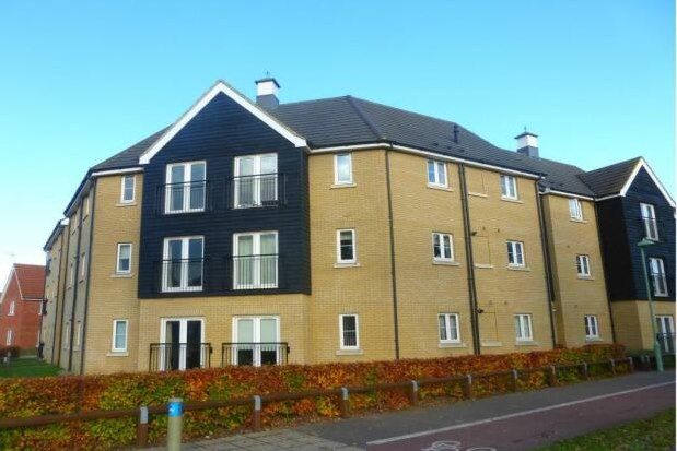 Thumbnail Property to rent in Tayberry Close, Bury St. Edmunds