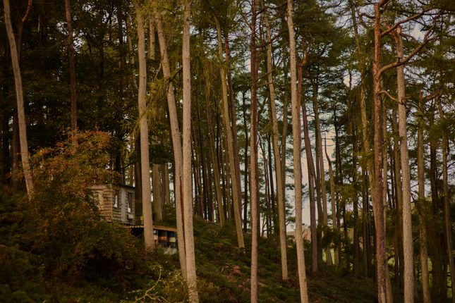 313488 - 20251029_Bwlch_Coch__Shot_1_142.Jpg