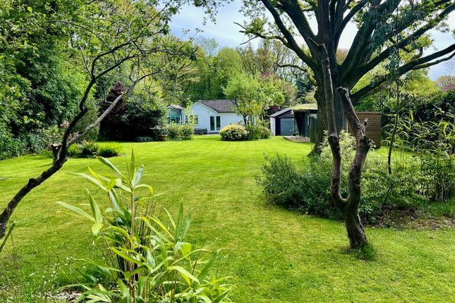 Detached bungalow for sale in Southwood Chase, Danbury, Chelmsford