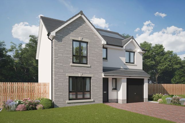 Thumbnail Detached house for sale in "The Hayling" at Laymoor Avenue, Braehead, Renfrew
