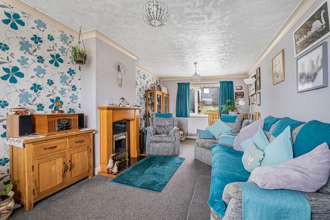 11 Pellinore Road, Exeter photo 4