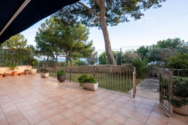 Thumbnail Apartment for sale in Palmanova, Mallorca, Balearic Islands