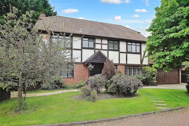 Thumbnail Detached house for sale in Church Lane, Bisley, Woking