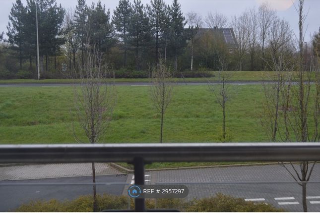 Cyber Avenue, Oakgrove, Milton Keynes photo 4