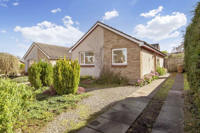 Thumbnail Bungalow for sale in Carron Place, St Andrews