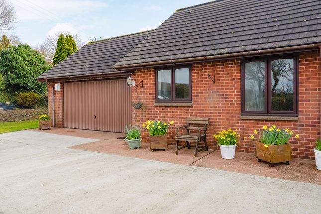 Detached bungalow for sale in Cheriton Fitzpaine, Crediton