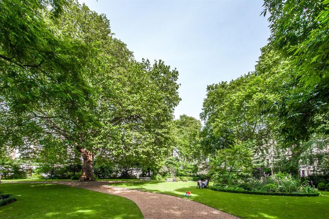 Courtfield Gardens Ext Ph-5.Jpg