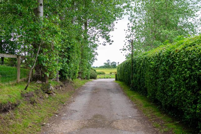 Dsc_7208.Jpg