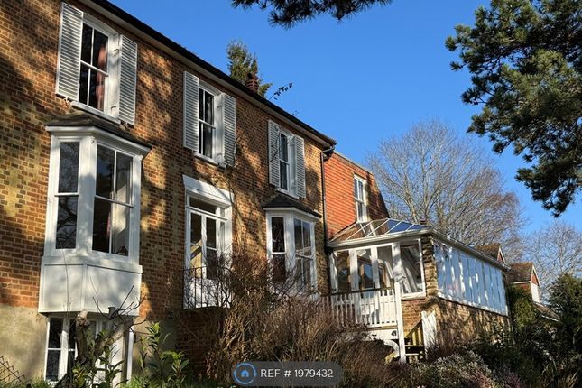 Thumbnail Detached house to rent in Knoll Road, Godalming