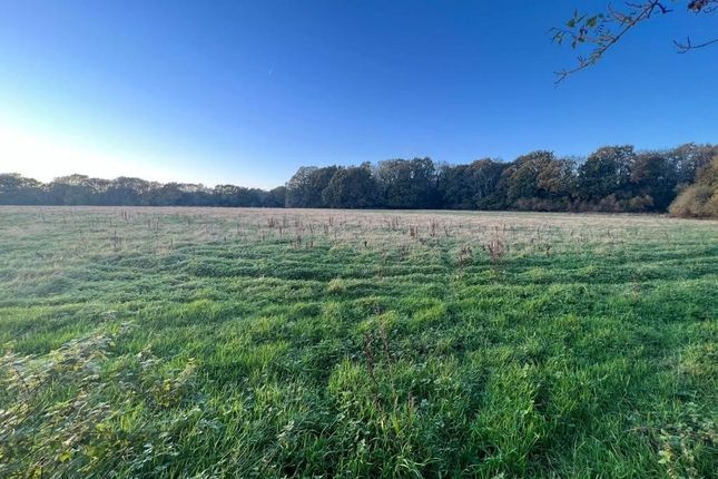 Land for sale in Tunbridge Wells Road, Mayfield, East Sussex