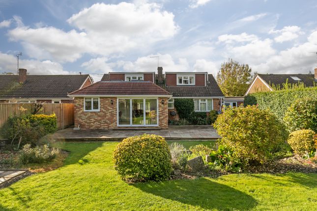 Thumbnail Detached bungalow for sale in Springvale Road, Winchester