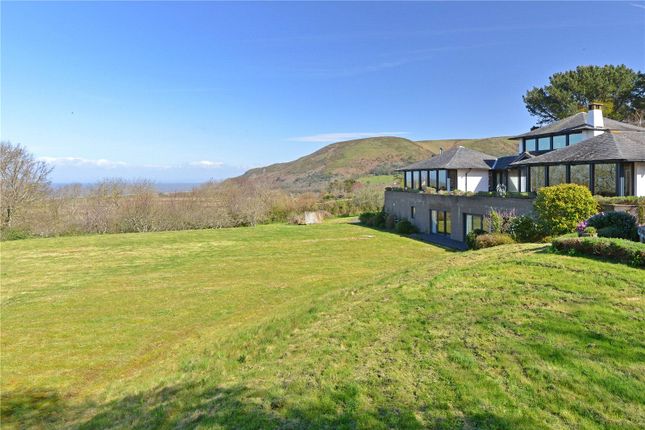 Garden Views