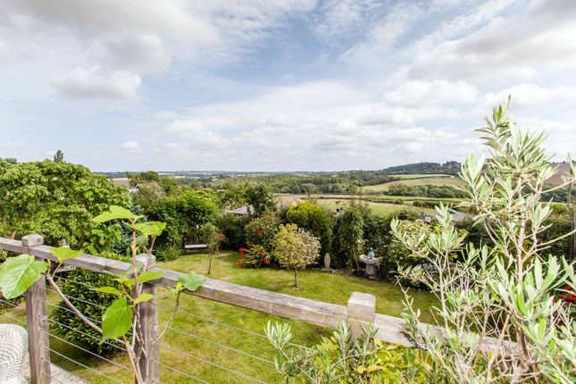 Thumbnail Detached bungalow for sale in Norton Avenue, Shuttlewood