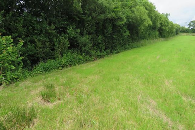 Thumbnail Land for sale in Plot A13c, Land At Hollacombe, Near Headon Cross, Holsworthy, Devon EX226Nl