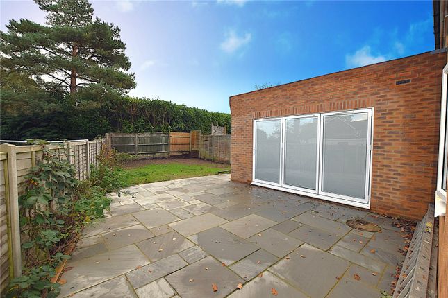 3, Windmill Fields, Alton photo 3