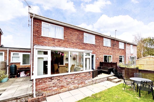 24, Magdalen Lane, Dorset photo 2