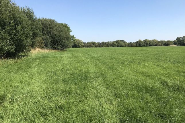 Thumbnail Land for sale in Land At Standlake, Abingdon, Oxfordshire