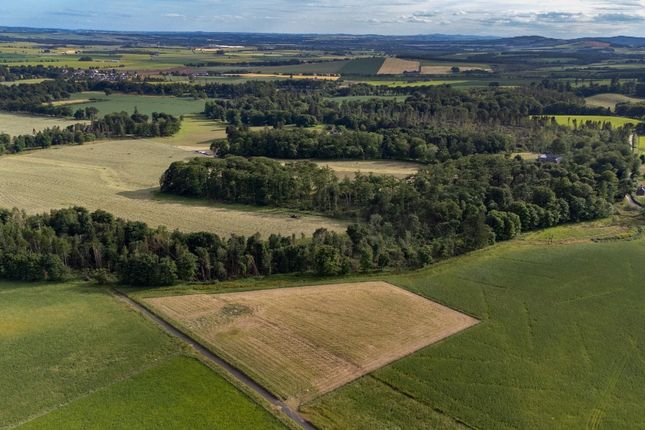 Thumbnail Land for sale in Fasque Estate, Aberdeenshire