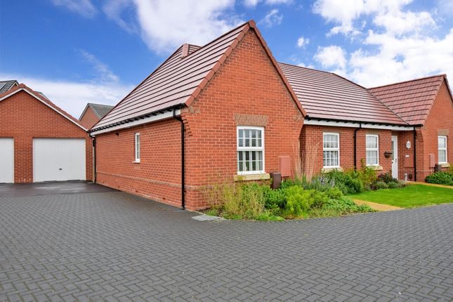 Thumbnail Semi-detached bungalow to rent in Down View Way, Clanfield, Waterlooville