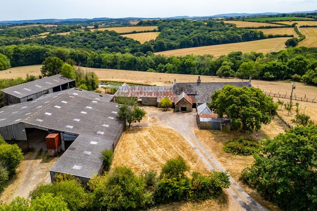 Weeke Farm, Crediton photo 2